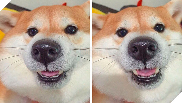 
Dù điện thoại có vô tình bật camera trước, chúng vẫn giữ được thần thái tuyệt vời!