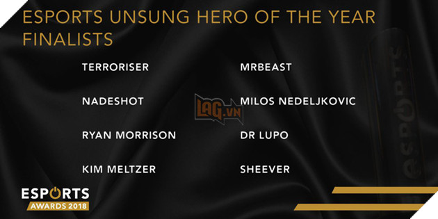 Danh sách đề cử nhóm 2 Esports Awards 2018 chính thức được công bố - Ảnh 20. Danh sách đề cử nhóm 2 Esports Awards 2018 chính thức được công bố - Ảnh 20.