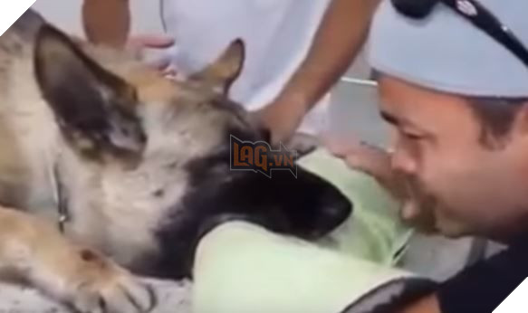 Rơi nước mắt trước khoảnh khắc tạm biệt nhau giữa chủ và chú chó bị ung thư