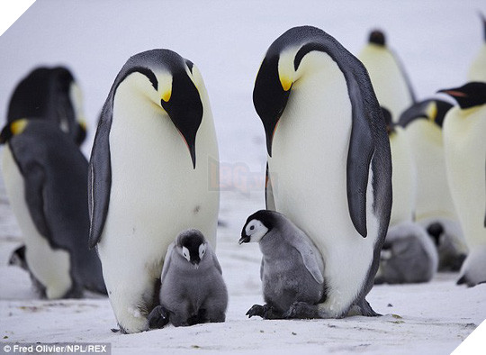 1 243c250c00000578 0 image m 120 1419353250489 1419385544353