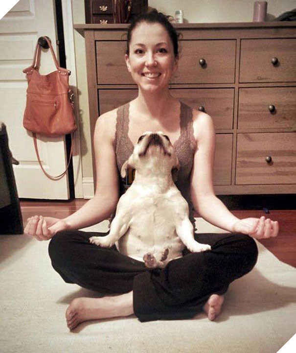 tu the sieu hai huoc cua dong vat 6