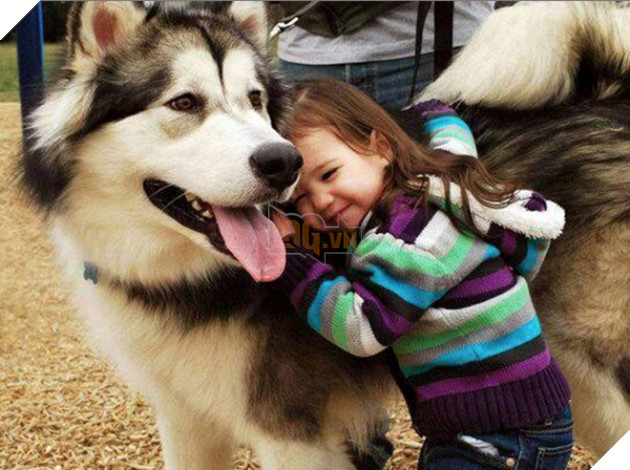 27 buc anh sieu dang yeu thu cung 13