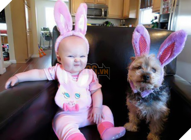 27 buc anh sieu dang yeu thu cung 16