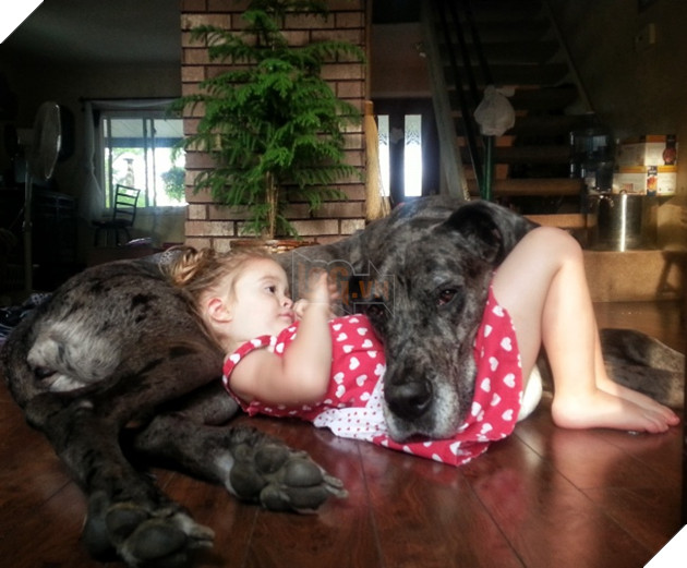 27 buc anh sieu dang yeu thu cung 17