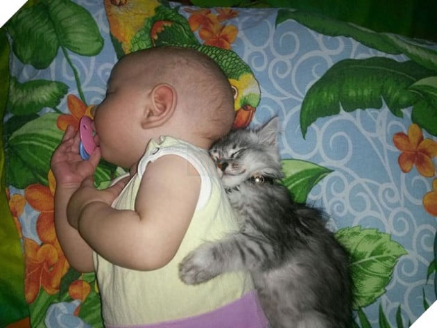 27 buc anh sieu dang yeu thu cung 4