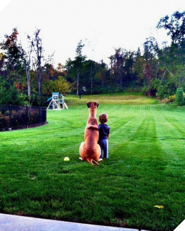 27 buc anh sieu dang yeu thu cung 5