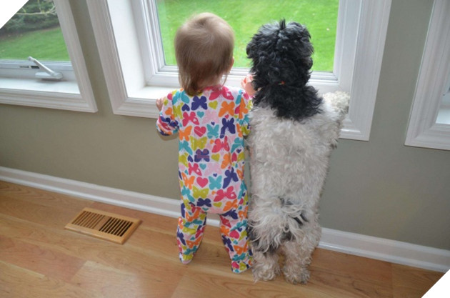 27 buc anh sieu dang yeu thu cung 6