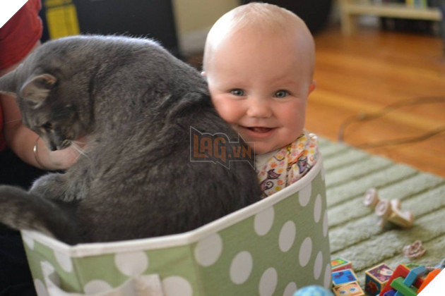 27 buc anh sieu dang yeu thu cung 7