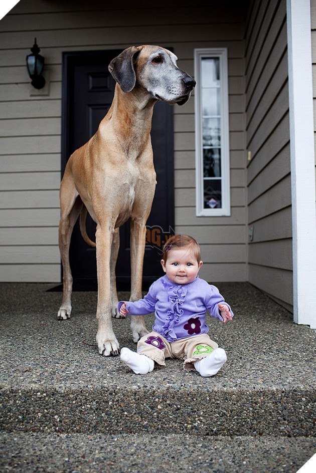 27 buc anh sieu dang yeu thu cung 8