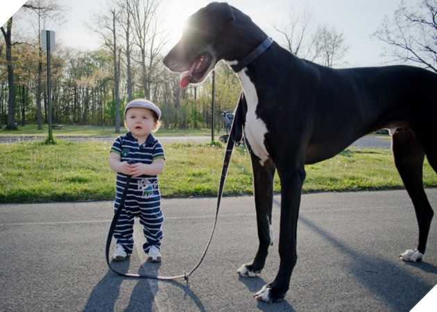 27 buc anh sieu dang yeu thu cung 9