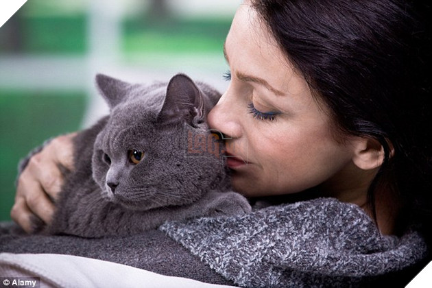 Image result for cat hug owner