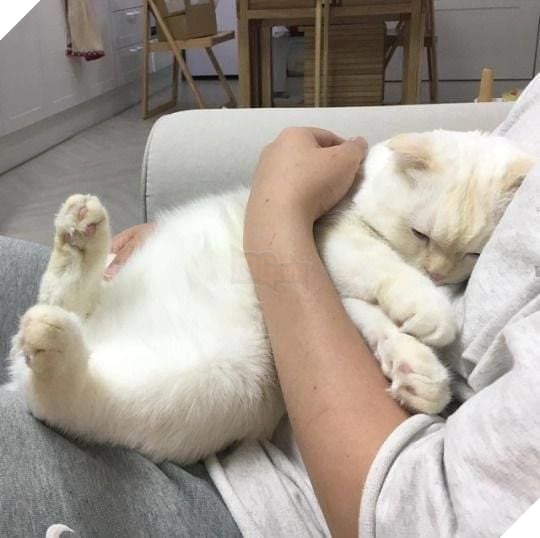 
Đôi khi cô đơn, cần một cái ôm khích lệ!