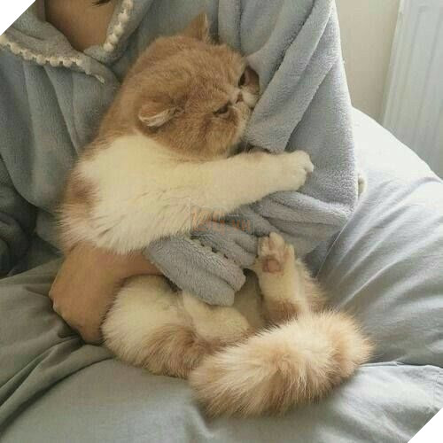 
Người ta cũng tình cảm lắm chứ bộ!