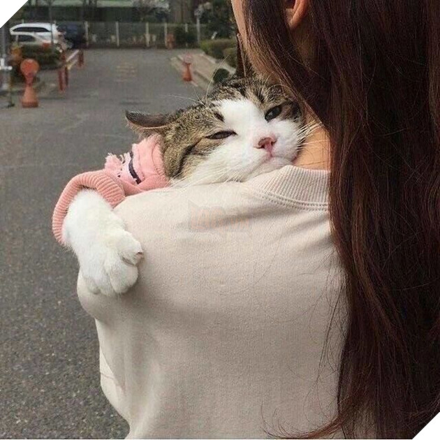 
Đến này thì không yêu là không được đâu nha!