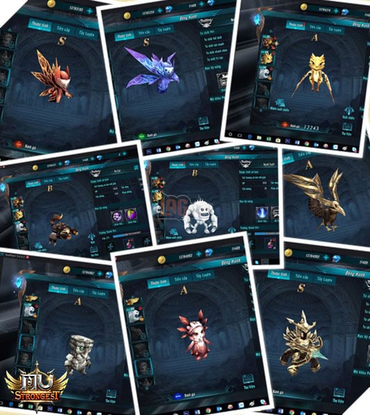 Bấn loạn vì dàn Pet “siêu cute” trong MU Strongest 