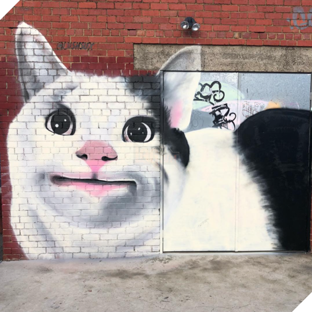 
Thậm chí người ta còn vẽ hình chú mèo Ollie lên tường nữa nè.