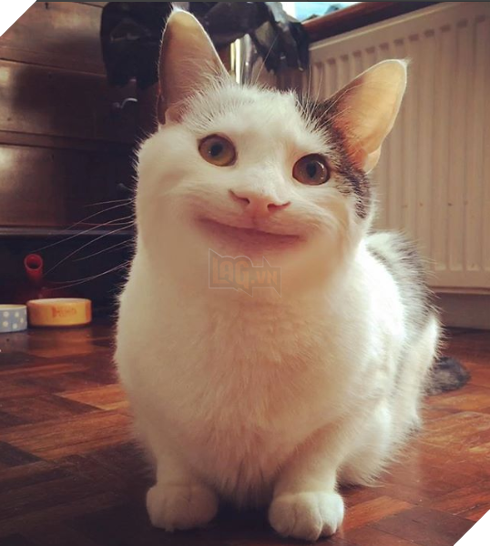 
"Hihi nhìn anh đây có lịch thiệp không này?"