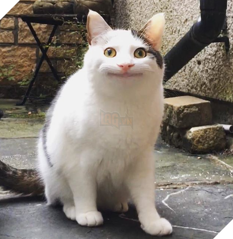 
Đẹp trai thì mới có nhiều đứa yêu!