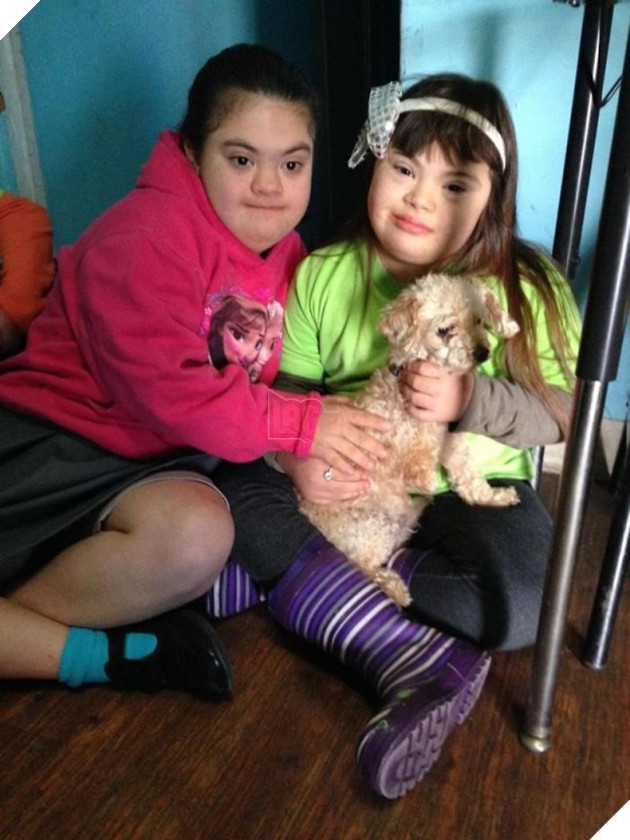 Hạnh phúc ngọt ngào dành cho chú chó mất chân sau 10 năm lang thang cơ nhỡ 6