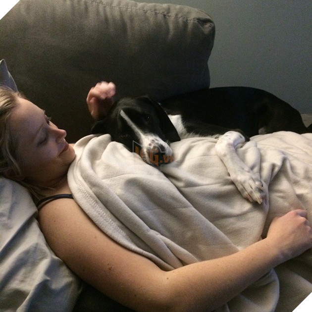 Khoảnh khắc yêu đến lịm tim khi thú cưng “làm nũng” với mẹ bầu vì ghen tị với em bé sắp chào đời - Ảnh 5.