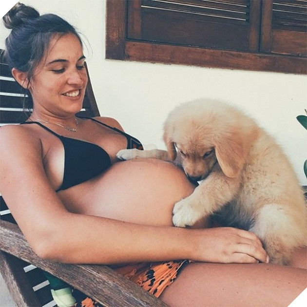 Khoảnh khắc yêu đến lịm tim khi thú cưng “làm nũng” với mẹ bầu vì ghen tị với em bé sắp chào đời - Ảnh 9.