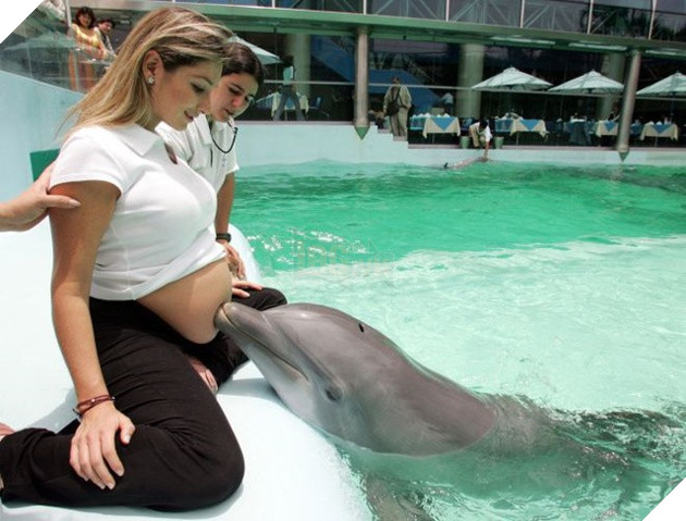 Khoảnh khắc yêu đến lịm tim khi thú cưng “làm nũng” với mẹ bầu vì ghen tị với em bé sắp chào đời - Ảnh 10.