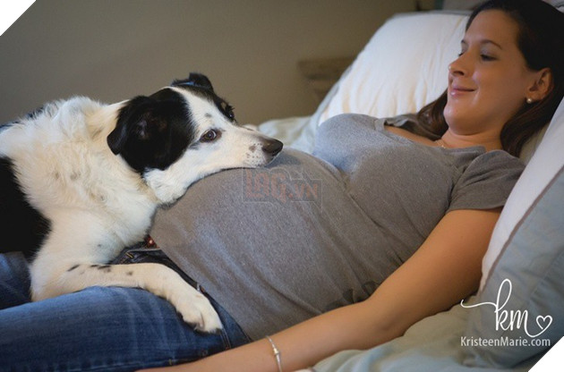 Khoảnh khắc yêu đến lịm tim khi thú cưng “làm nũng” với mẹ bầu vì ghen tị với em bé sắp chào đời - Ảnh 11.