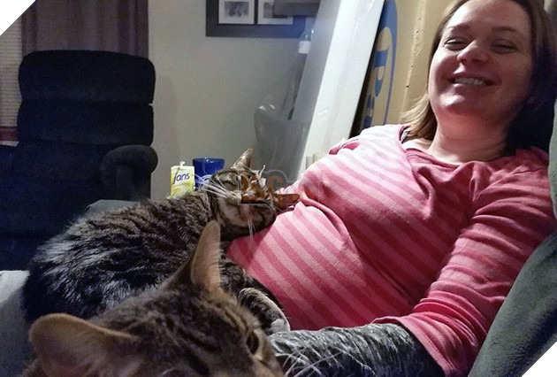 Khoảnh khắc yêu đến lịm tim khi thú cưng “làm nũng” với mẹ bầu vì ghen tị với em bé sắp chào đời - Ảnh 14.