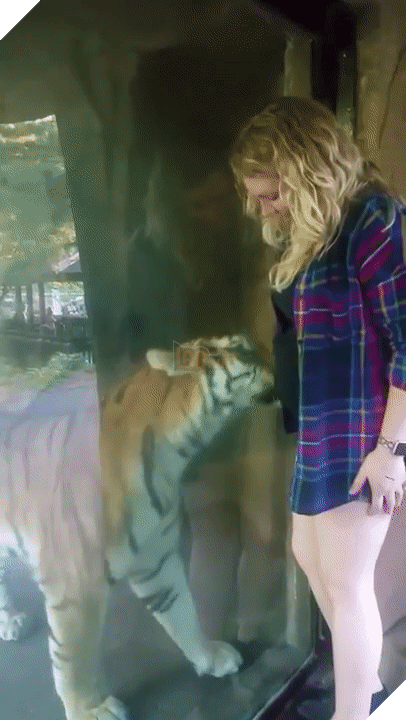 Khoảnh khắc yêu đến lịm tim khi thú cưng “làm nũng” với mẹ bầu vì ghen tị với em bé sắp chào đời - Ảnh 20.