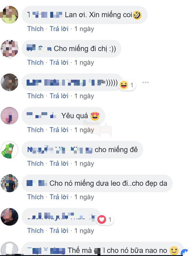 
Phía dưới phần bình luận, rất nhiều người đã hỏi xin cho mấy chú chó vài miếng thịt