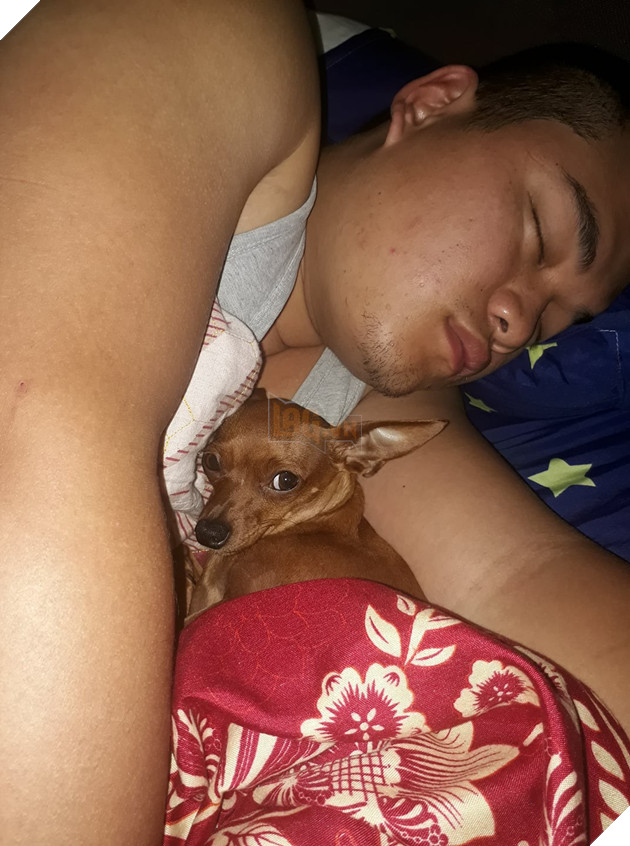 Chùm ảnh: Nỗi lòng các cô gái bị lũ boss công khai giựt chồng - Ảnh 1.