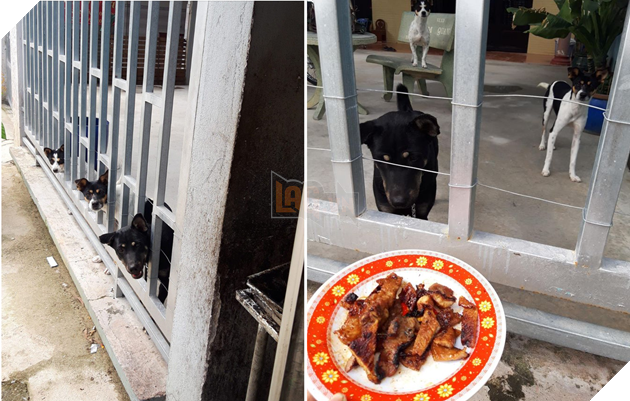 Câu chuyện 'cô gái nướng thịt và 3 con boss hàng xóm' khiến dân mạng một phen cười bể bụng