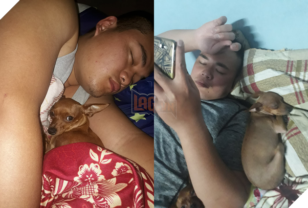 Chùm ảnh: Nỗi lòng các cô gái bị lũ boss công khai giựt chồng