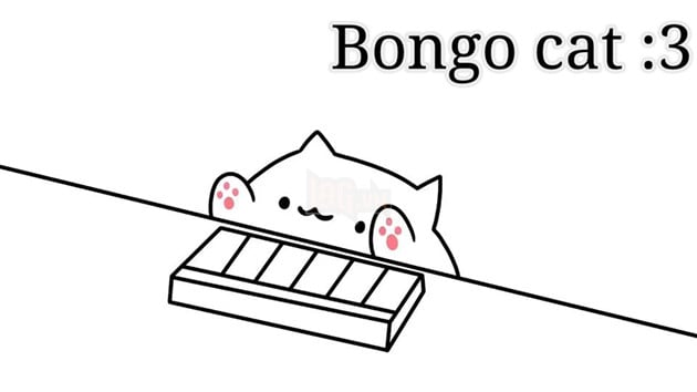 Tổng hợp các clip Bongo Cat meme hay nhất mà bạn sẽ muốn xem đấy