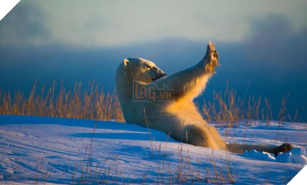 nintchdbpict000433217335