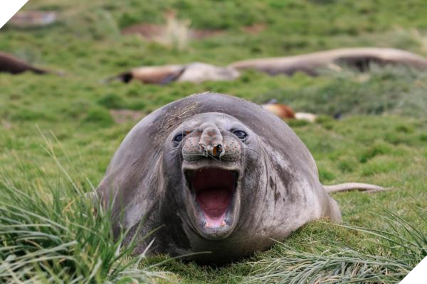 nintchdbpict000433218007