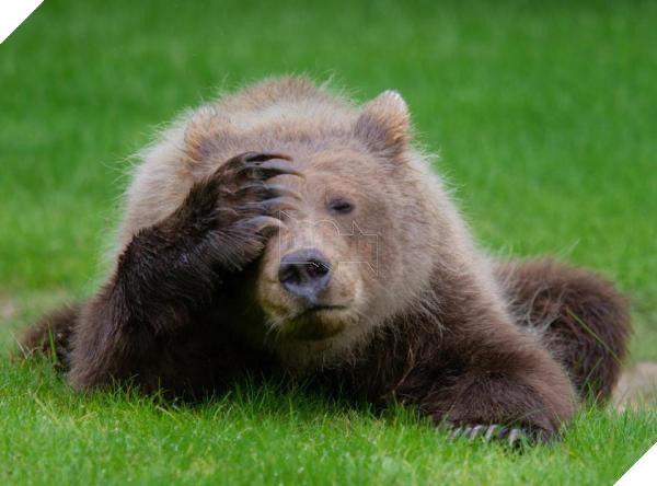 nintchdbpict000433218033