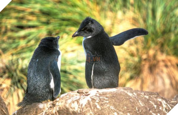 nintchdbpict000433218052 copy 1