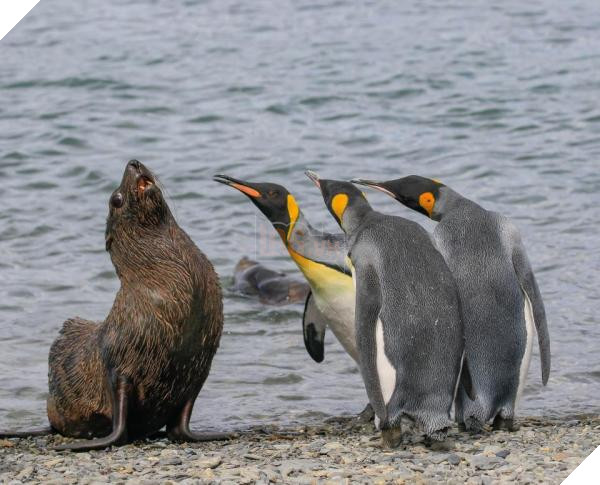 nintchdbpict000433218132 copy