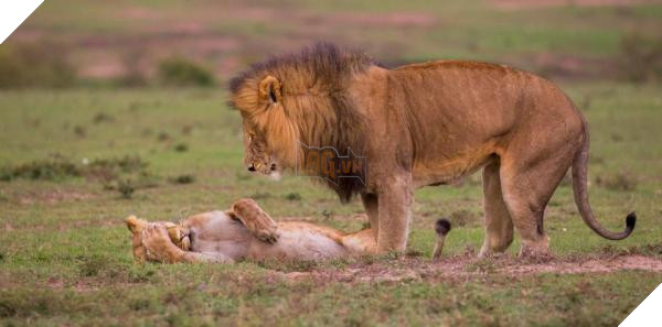 nintchdbpict000433218150 copy