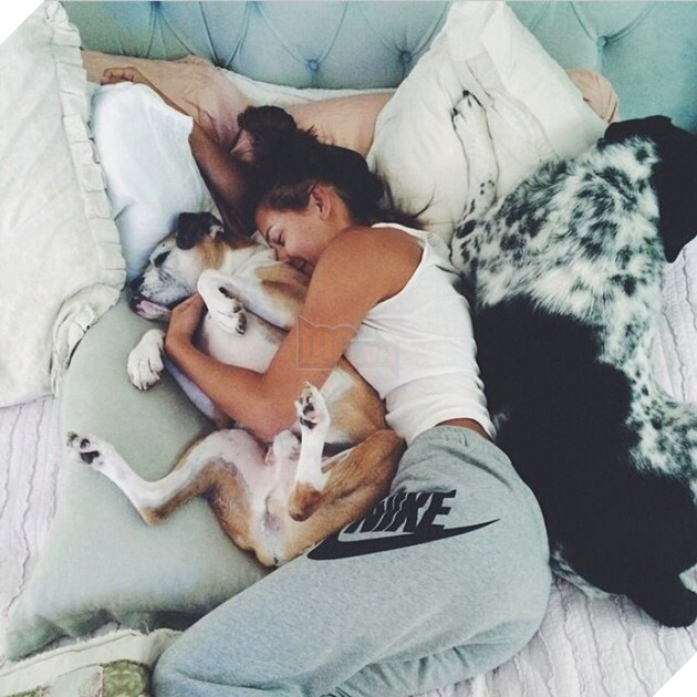 14 lý do chứng minh người yêu có thể không có nhưng chó nhất định phải có một con - Ảnh 2.
