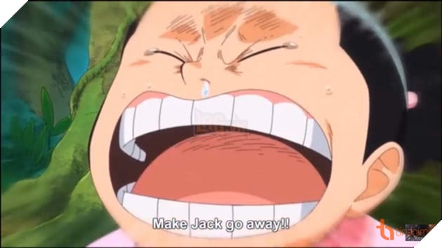 TOP 5 NHÂN VẬT ONE PIECE CÓ KHẢ NĂNG NGHE ĐƯỢC TIẾNG NÓI CỦA VẠN VẬT ! 6