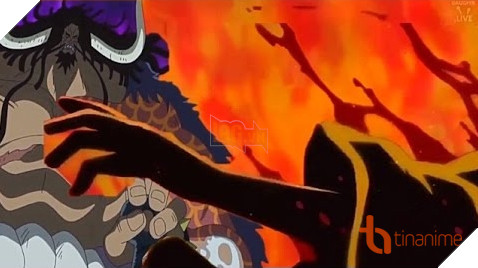 TOP 5 NHÂN VẬT ONE PIECE CÓ KHẢ NĂNG NGHE ĐƯỢC TIẾNG NÓI CỦA VẠN VẬT ! 5