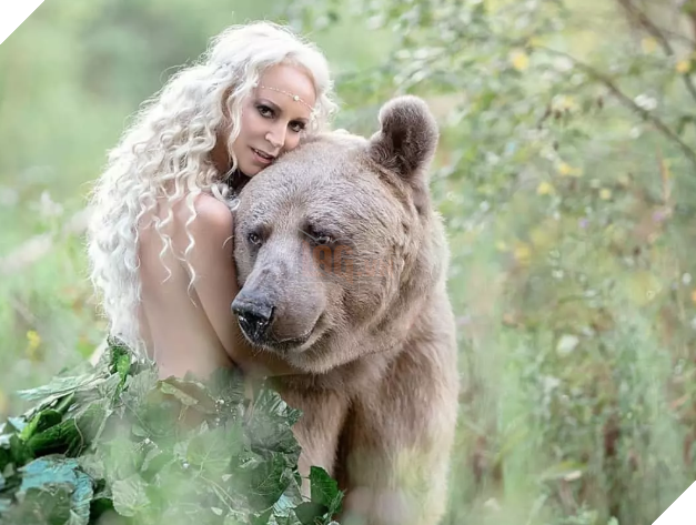 Bị 'chỉ trích' 'ăn bám' ba mẹ nuôi, chú gấu quyết tâm đi làm người mẫu kiếm tiền 'khẳng định bản thâ