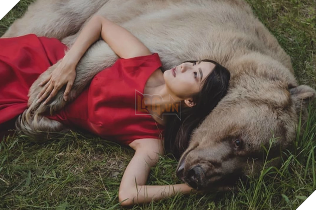 Bị 'chỉ trích' 'ăn bám' ba mẹ nuôi, chú gấu quyết tâm đi làm người mẫu kiếm tiền 'khẳng định bản thâ