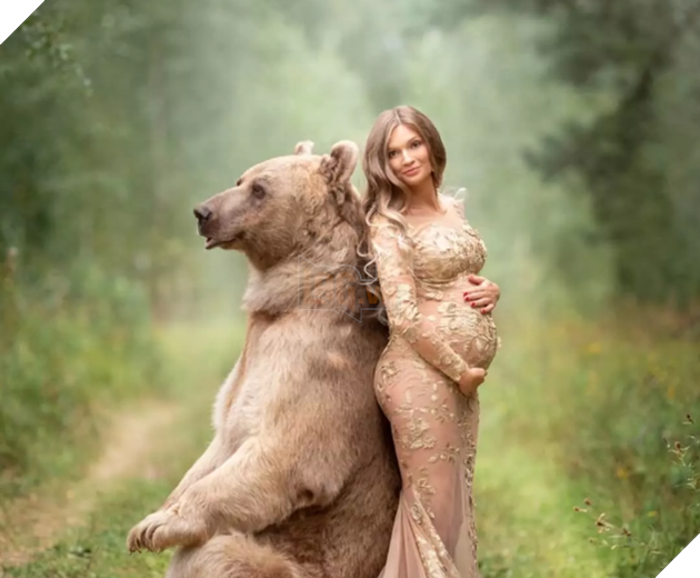 Bị 'chỉ trích' 'ăn bám' ba mẹ nuôi, chú gấu quyết tâm đi làm người mẫu kiếm tiền 'khẳng định bản thâ