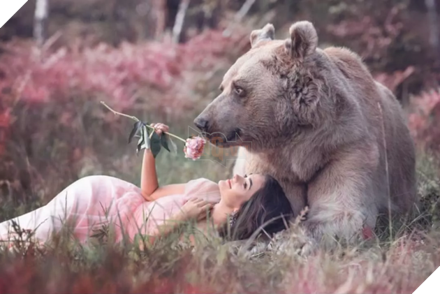 Bị 'chỉ trích' 'ăn bám' ba mẹ nuôi, chú gấu quyết tâm đi làm người mẫu kiếm tiền 'khẳng định bản thâ