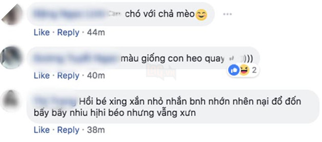 Dân mạng đua nhau chọc quê chàng chó vì mập ú nên đã qua bao mùa lúa chín mà vẫn còn “trinh nguyên” 7