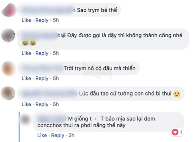 Dân mạng đua nhau chọc quê chàng chó vì mập ú nên đã qua bao mùa lúa chín mà vẫn còn “trinh nguyên” 8