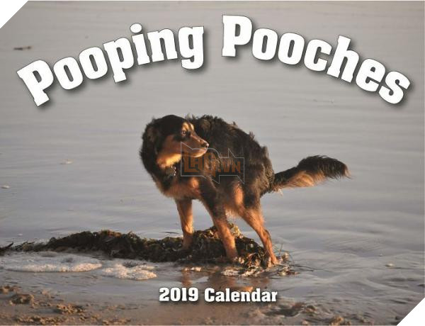 pooping pooches dog calendar 1 5ba1ed5d5a441 700